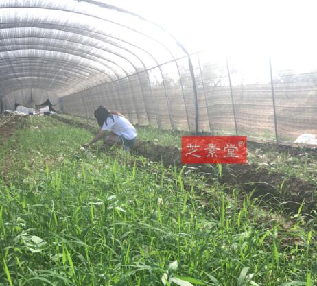 1564229684117524.jpg QQ图片20190609162127.jpg