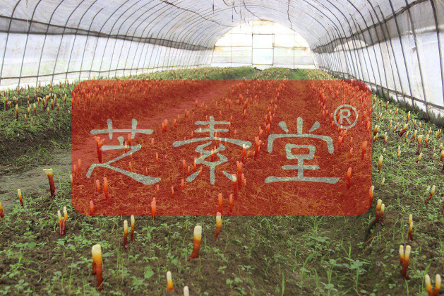 1564229715676072.png QQ图片20190427124302.png