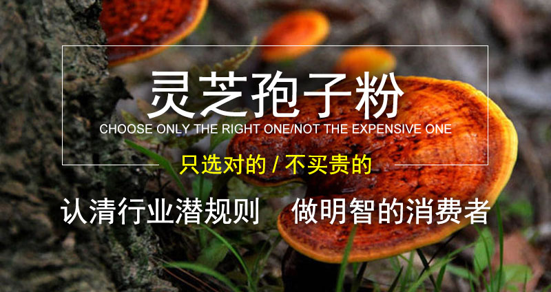 破壁灵芝孢子粉行业的水到底有多深？