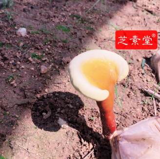 睡眠不好怎么调节效果好？
