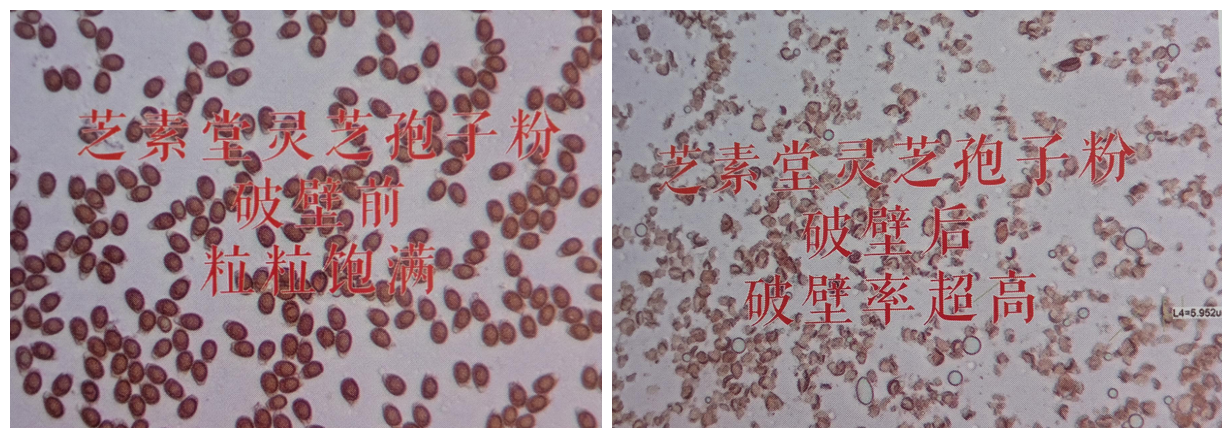 1632639920997605.png QQ截图20210926135132.png