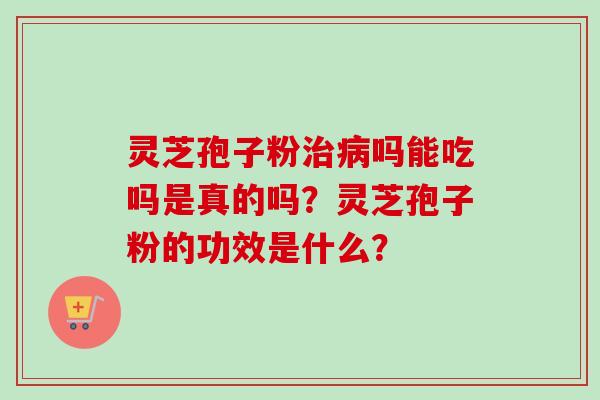 灵芝孢子粉吗能吃吗是真的吗?灵芝孢子粉的功效是什么? 灵芝孢子粉吗能吃吗是真的吗?灵芝孢子粉的功效是什么?