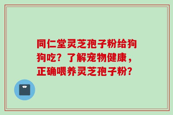 同仁堂灵芝孢子粉给狗狗吃？了解宠物健康，正确喂养灵芝孢子粉？