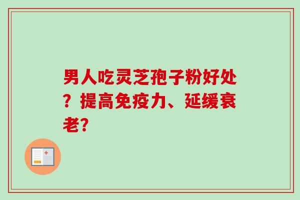男人吃灵芝孢子粉好处？提高免疫力、延缓衰老？