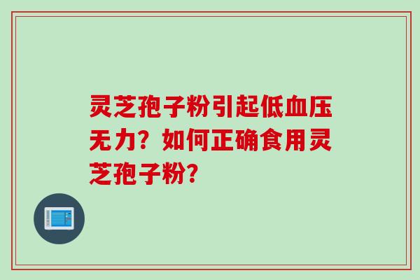 灵芝孢子粉引起低血压无力？如何正确食用灵芝孢子粉？