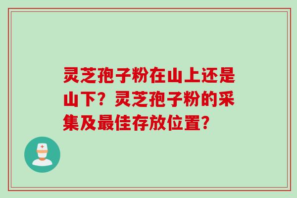 灵芝孢子粉在山上还是山下？灵芝孢子粉的采集及最佳存放位置？