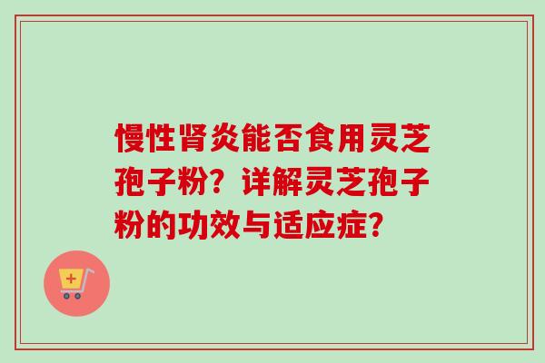 慢性肾炎能否食用灵芝孢子粉？详解灵芝孢子粉的功效与适应症？