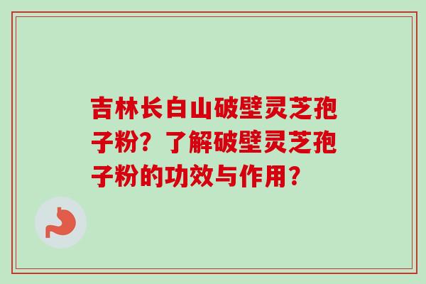吉林长白山破壁灵芝孢子粉？了解破壁灵芝孢子粉的功效与作用？