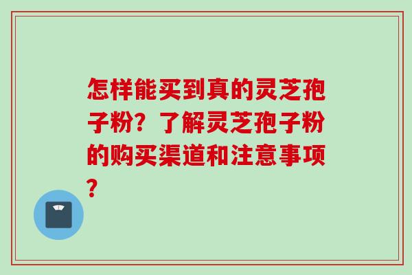 怎样能买到真的灵芝孢子粉？了解灵芝孢子粉的购买渠道和注意事项？