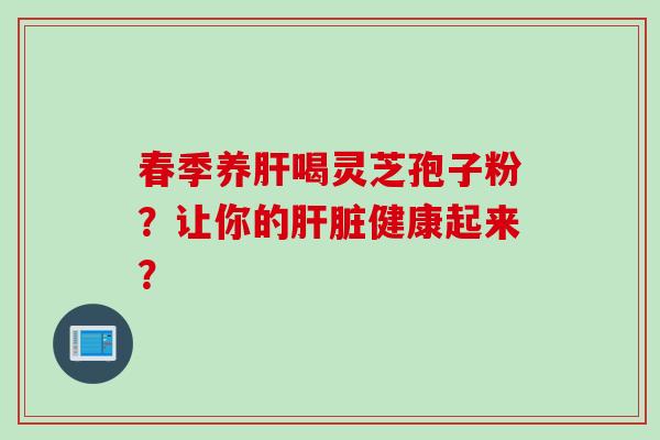 春季养肝喝灵芝孢子粉？让你的肝脏健康起来？