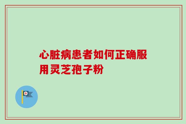 心脏病患者如何正确服用灵芝孢子粉