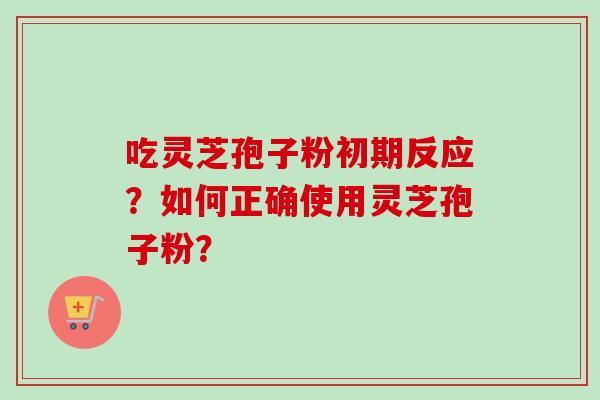 吃灵芝孢子粉初期反应？如何正确使用灵芝孢子粉？