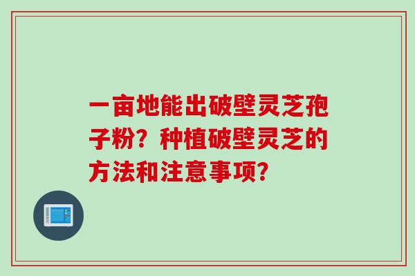 一亩地能出破壁灵芝孢子粉？种植破壁灵芝的方法和注意事项？