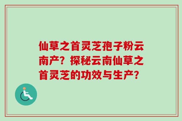 仙草之首灵芝孢子粉云南产？探秘云南仙草之首灵芝的功效与生产？