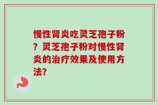 慢性肾炎吃灵芝孢子粉？灵芝孢子粉对慢性肾炎的治疗效果及使用方法？