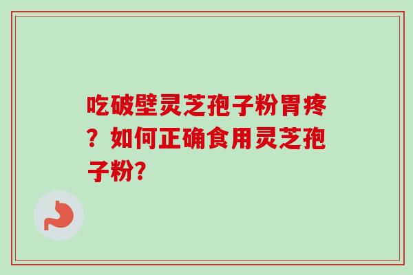吃破壁灵芝孢子粉胃疼？如何正确食用灵芝孢子粉？