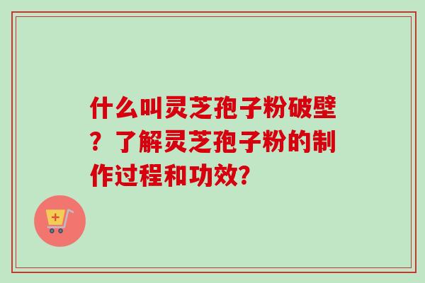 什么叫灵芝孢子粉破壁？了解灵芝孢子粉的制作过程和功效？