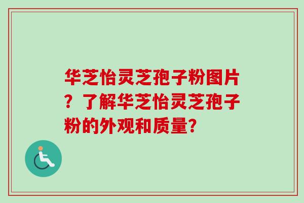 华芝怡灵芝孢子粉图片？了解华芝怡灵芝孢子粉的外观和质量？