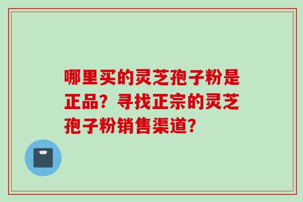 哪里买的灵芝孢子粉是正品？寻找正宗的灵芝孢子粉销售渠道？