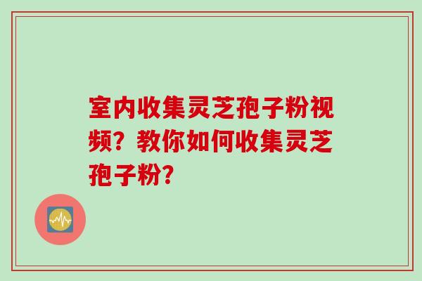 室内收集灵芝孢子粉视频？教你如何收集灵芝孢子粉？
