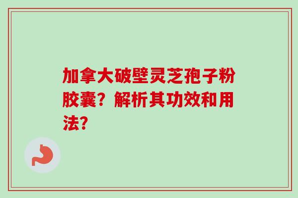加拿大破壁灵芝孢子粉胶囊？解析其功效和用法？