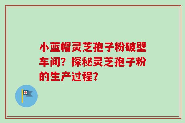 小蓝帽灵芝孢子粉破壁车间?探秘灵芝孢子粉的生产过程? 小蓝帽灵芝孢子粉破壁车间?探秘灵芝孢子粉的生产过程?