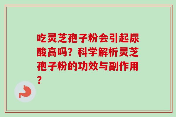 吃灵芝孢子粉会引起尿酸高吗？科学解析灵芝孢子粉的功效与副作用？