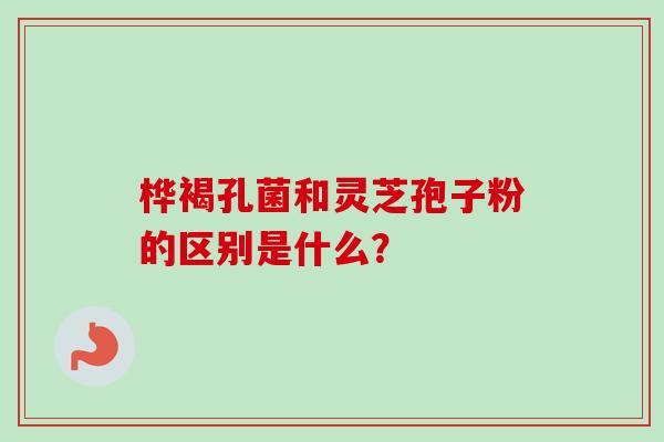 桦褐孔菌和灵芝孢子粉的区别是什么？