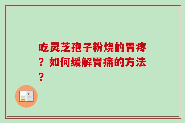 吃灵芝孢子粉烧的胃疼？如何缓解胃痛的方法？