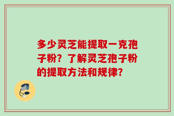 多少灵芝能提取一克孢子粉？了解灵芝孢子粉的提取方法和规律？
