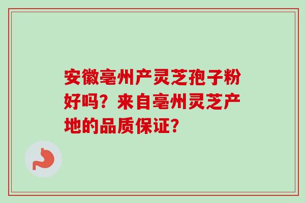 安徽亳州产灵芝孢子粉好吗？来自亳州灵芝产地的品质保证？