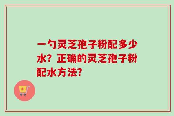 一勺灵芝孢子粉配多少水？正确的灵芝孢子粉配水方法？