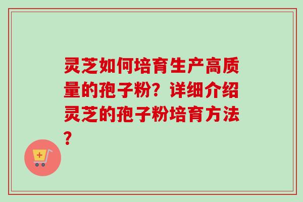 灵芝如何培育生产高质量的孢子粉？详细介绍灵芝的孢子粉培育方法？
