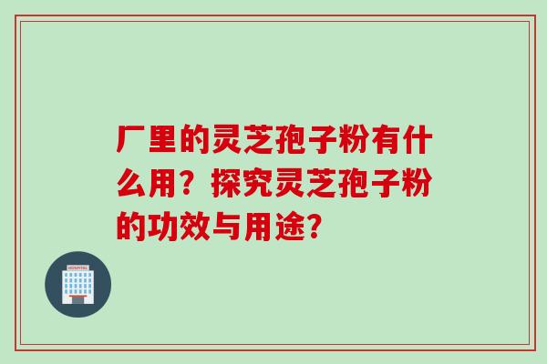 厂里的灵芝孢子粉有什么用？探究灵芝孢子粉的功效与用途？