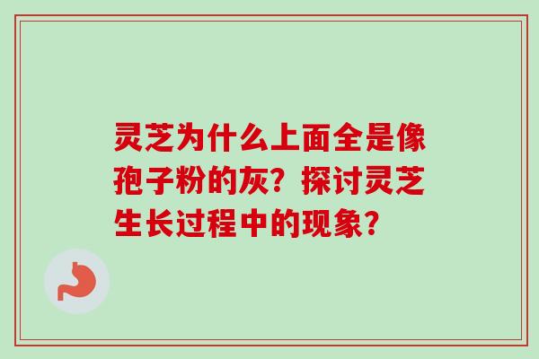 灵芝为什么上面全是像孢子粉的灰？探讨灵芝生长过程中的现象？