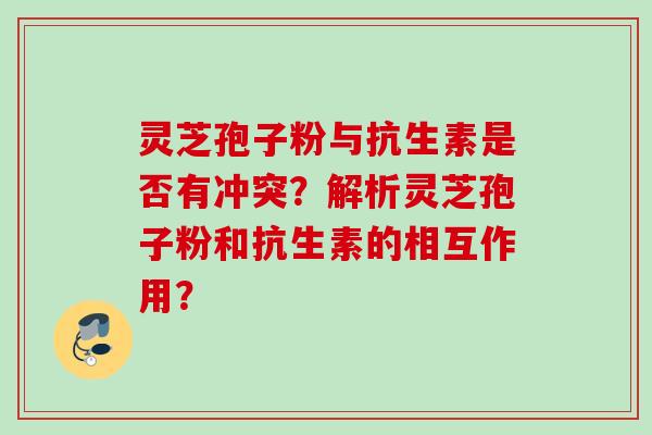 灵芝孢子粉与抗生素是否有冲突？解析灵芝孢子粉和抗生素的相互作用？