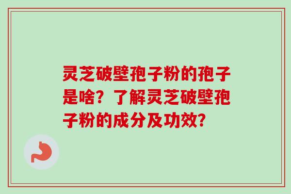灵芝破壁孢子粉的孢子是啥？了解灵芝破壁孢子粉的成分及功效？