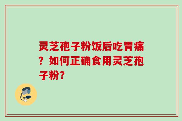 灵芝孢子粉饭后吃胃痛？如何正确食用灵芝孢子粉？