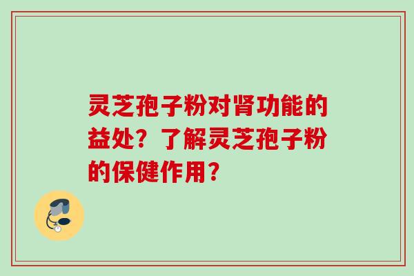 灵芝孢子粉对肾功能的益处？了解灵芝孢子粉的保健作用？
