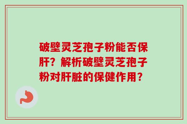 破壁灵芝孢子粉能否保肝？解析破壁灵芝孢子粉对肝脏的保健作用？