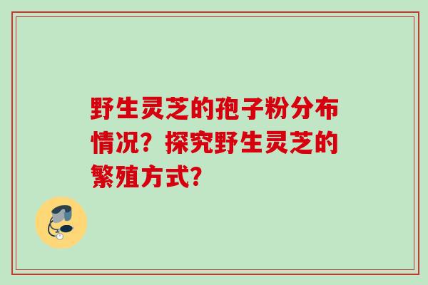 野生灵芝的孢子粉分布情况？探究野生灵芝的繁殖方式？