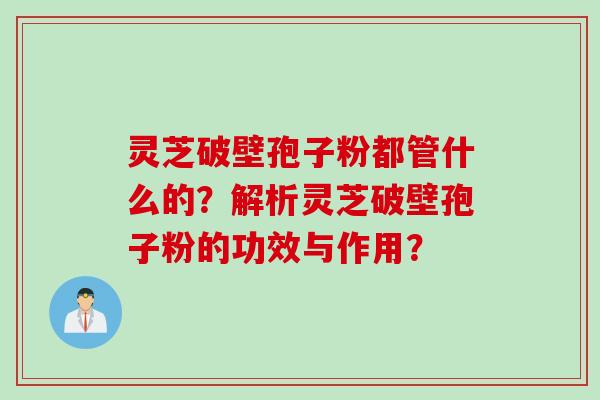 灵芝破壁孢子粉都管什么的？解析灵芝破壁孢子粉的功效与作用？