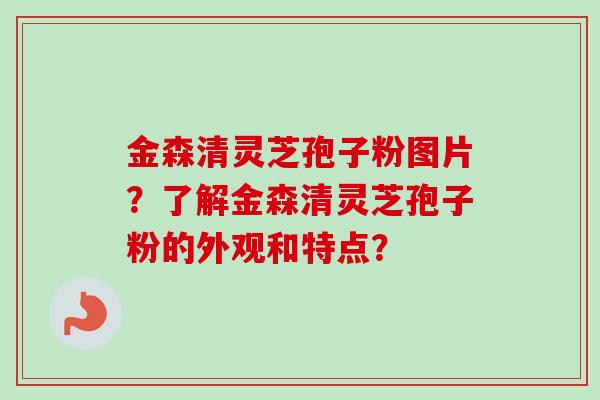 金森清灵芝孢子粉图片？了解金森清灵芝孢子粉的外观和特点？