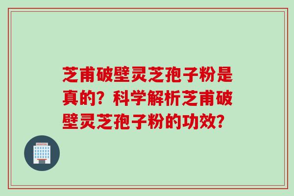 芝甫破壁灵芝孢子粉是真的？科学解析芝甫破壁灵芝孢子粉的功效？