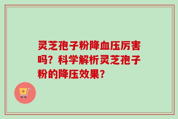 灵芝孢子粉降血压厉害吗？科学解析灵芝孢子粉的降压效果？
