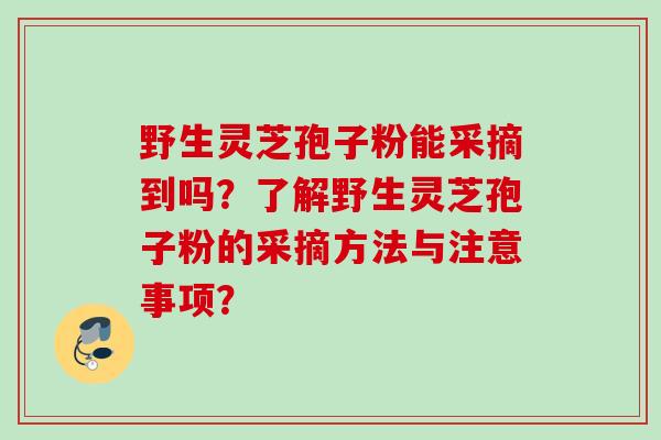 野生灵芝孢子粉能采摘到吗？了解野生灵芝孢子粉的采摘方法与注意事项？