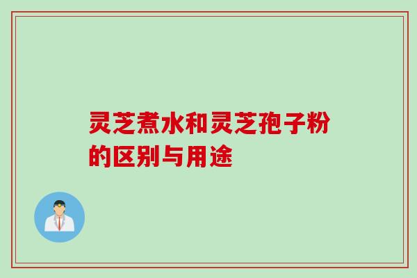 灵芝煮水和灵芝孢子粉的区别与用途
