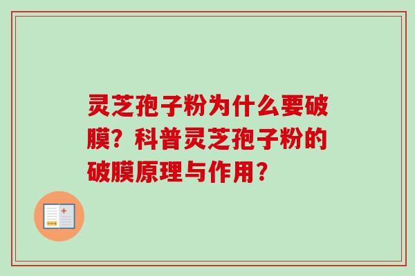 灵芝孢子粉为什么要破膜？科普灵芝孢子粉的破膜原理与作用？