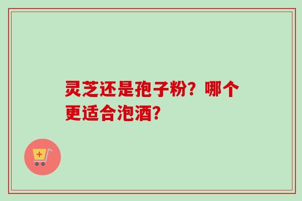 灵芝还是孢子粉？哪个更适合泡酒？