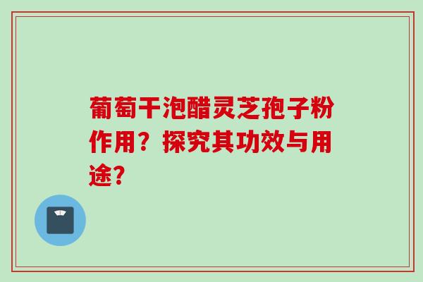 葡萄干泡醋灵芝孢子粉作用？探究其功效与用途？